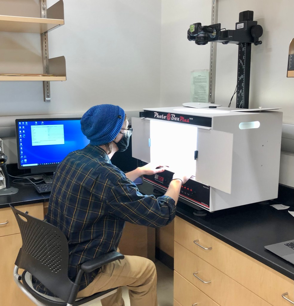 Jacob imaging a specimen in the light box in the herbarium